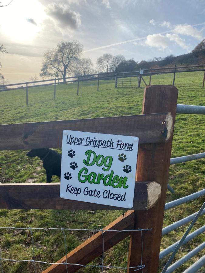 Upper Grippath Farm Holiday Cottages 纽波特 外观 照片